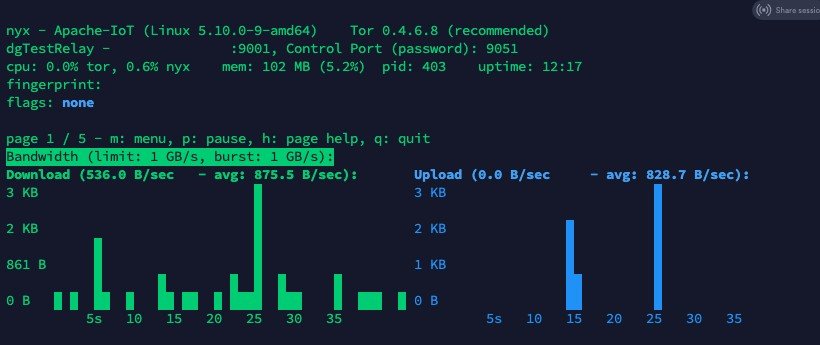 screen showing bandwidth on the Tor node that has just been installed
