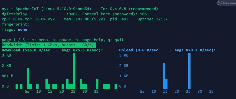 screen showing bandwidth on the Tor node that has just been installed
